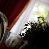 Sabine & S�nke Foto 024
